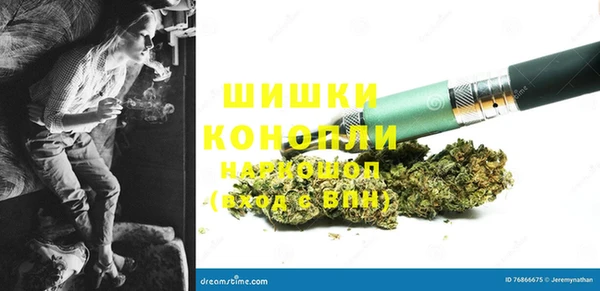 гидропоника Шали