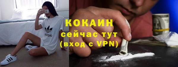 не бодяженный Шадринск