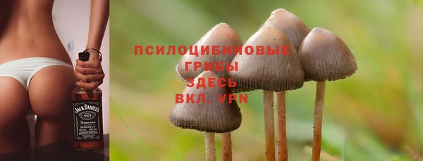не бодяженный Шадринск