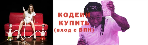 не бодяженный Шадринск