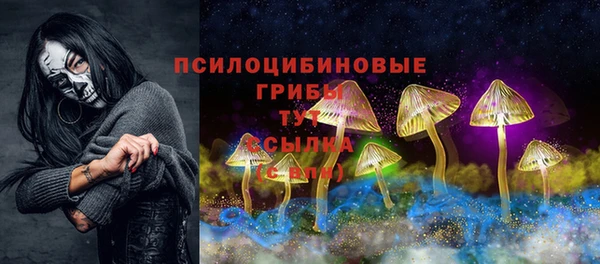 не бодяженный Шадринск