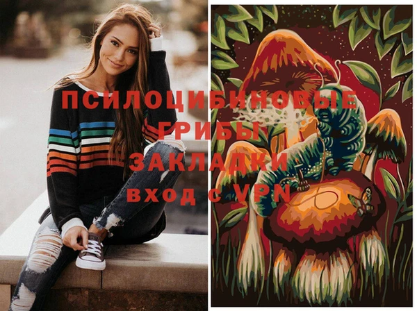 гидропоника Шали