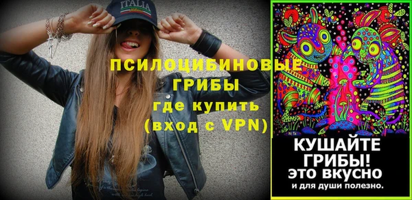 не бодяженный Шадринск