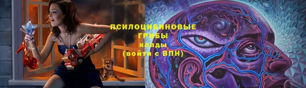 не бодяженный Шадринск
