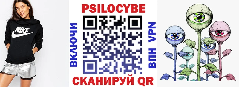 Псилоцибиновые грибы мицелий  купить наркотик  Азнакаево 