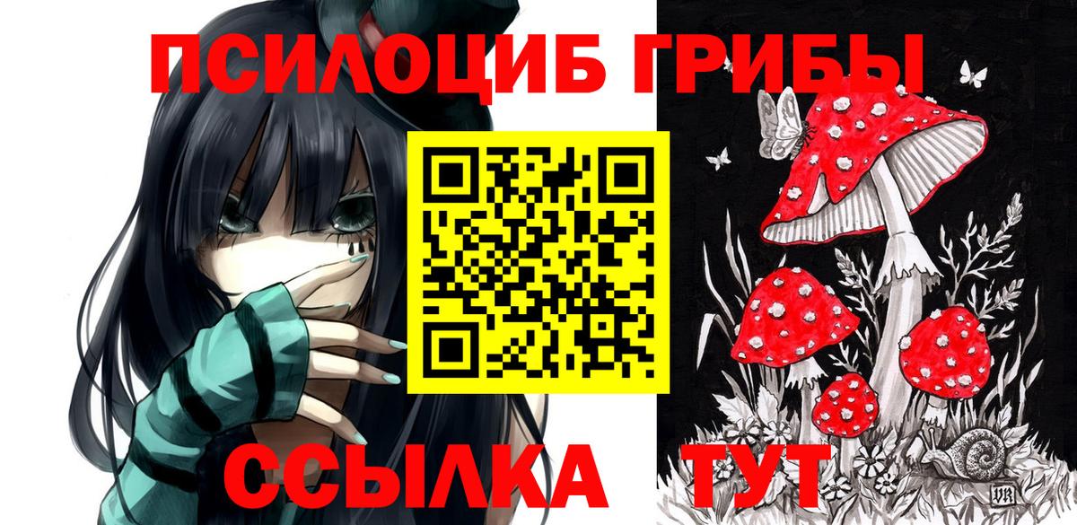 Галлюциногенные грибы мицелий  Псилоцибиновые грибы мухоморы  Вход с VPN  Азнакаево 